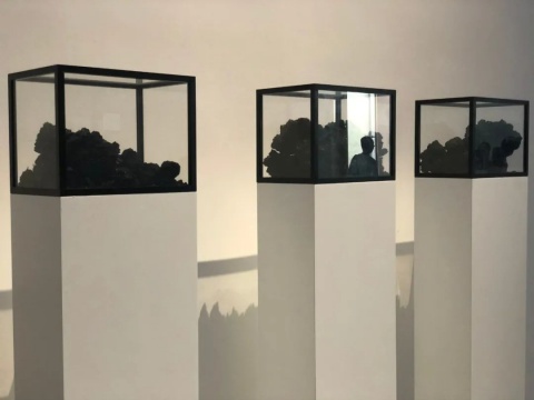 跟随吴洪亮的策展手记,去金鸡湖美术馆看“自·长物志” 跟随吴洪亮的策展手记,去金鸡湖美术馆看“自·长物志”