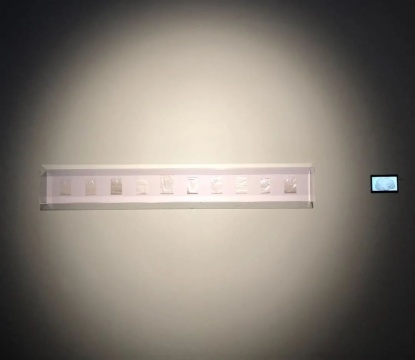 (摄影:刘晶)
(摄影:刘晶)