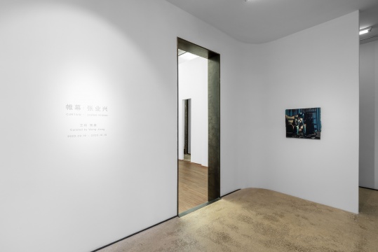 拉开半掩的“帷幕”,张业兴个展站台dRoom呈现 拉开半掩的“帷幕”,张业兴个展站台dRoom呈现