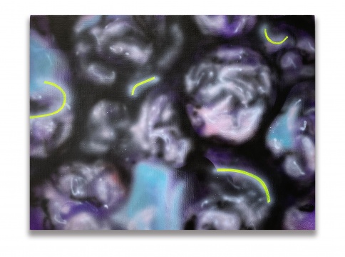 贺天琪 《乌梅》30x40cm 布面丙烯 2020
贺天琪 《乌梅》30x40cm 布面丙烯 2020