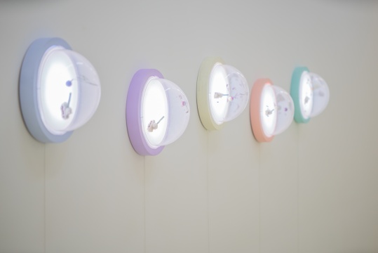 《炮打葡萄》亚克力,复合树脂,蜡、丙烯 尺寸可变 2010
《炮打葡萄》亚克力,复合树脂,蜡、丙烯 尺寸可变 2010
