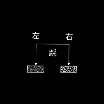 王鲁炎、顾德新 《触觉艺术》16.5×16.5cm×16 相纸(银盐明胶打印) 1988
王鲁炎、顾德新 《触觉艺术》16.5×16.5cm×16 相纸(银盐明胶打印) 1988