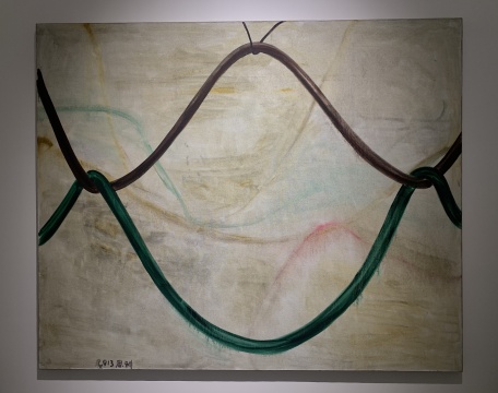 张恩利 《弹力2 》230×280cm 布面油画 2013
张恩利 《弹力2 》230×280cm 布面油画 2013