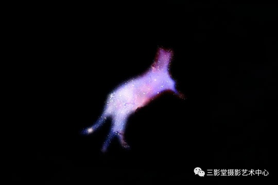 《猫的秘术》 2018 ©神思远
《猫的秘术》 2018 ©神思远