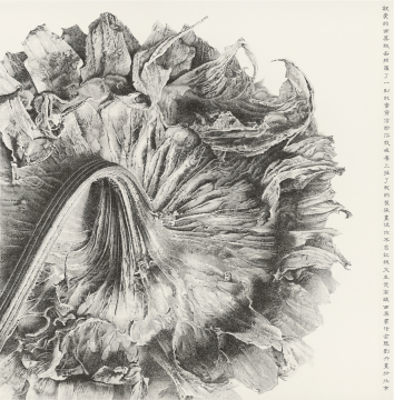 刘丹 《向日葵》 206×203cm 2012
刘丹 《向日葵》 206×203cm 2012