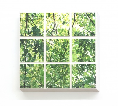 《树》 画90x90x10cm、雕塑92x92x10cm 石膏上水彩 2020
《树》 画90x90x10cm、雕塑92x92x10cm 石膏上水彩 2020