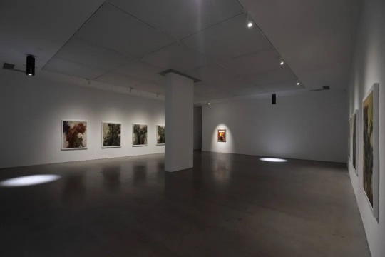 韩国艺术家崔玄周的各种不适与不屑，国内首场个展亮相Spurs Gallery