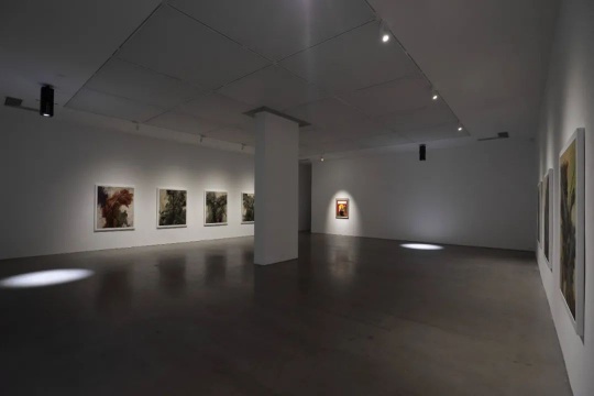 韩国艺术家崔玄周的各种不适与不屑,国内首场个展亮相Spurs Gallery 韩国艺术家崔玄周的各种不适与不屑,国内首场个展亮相Spurs Gallery