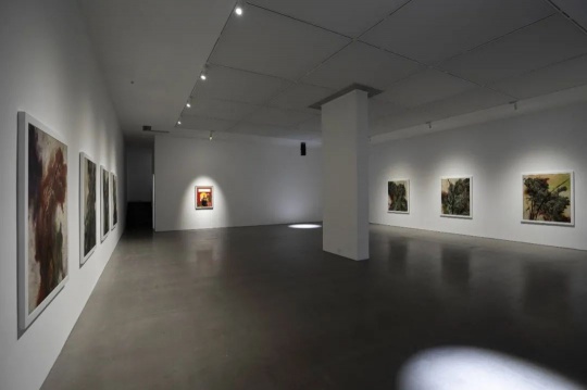 韩国艺术家崔玄周的各种不适与不屑,国内首场个展亮相Spurs Gallery 韩国艺术家崔玄周的各种不适与不屑,国内首场个展亮相Spurs Gallery