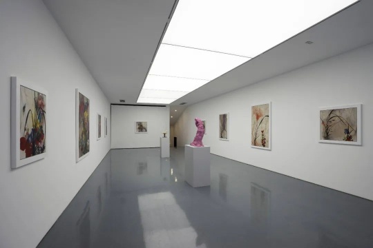 韩国艺术家崔玄周的各种不适与不屑,国内首场个展亮相Spurs Gallery 韩国艺术家崔玄周的各种不适与不屑,国内首场个展亮相Spurs Gallery