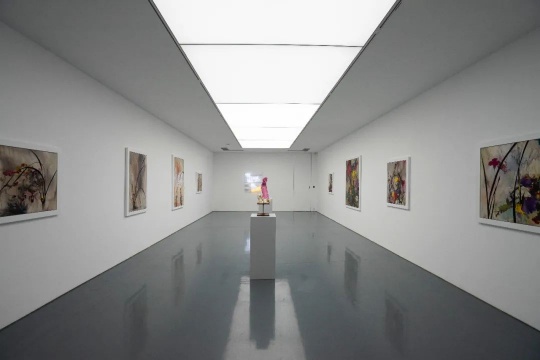 韩国艺术家崔玄周的各种不适与不屑,国内首场个展亮相Spurs Gallery 韩国艺术家崔玄周的各种不适与不屑,国内首场个展亮相Spurs Gallery
