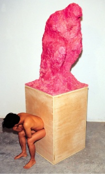 《思想者》112×90×282cm Pepto-bismol、卫生纸、木头、塑料 1995-1996
《思想者》112×90×282cm Pepto-bismol、卫生纸、木头、塑料 1995-1996