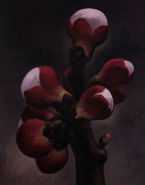 闫冰《杏花 No.8》100x80cm 布上油画 2019
闫冰《杏花 No.8》100x80cm 布上油画 2019