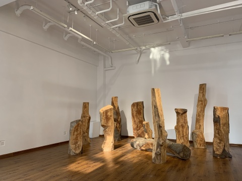 梁好 《苍易木》 200x60x60cmx10 木 2016—2018
梁好 《苍易木》 200x60x60cmx10 木 2016—2018
