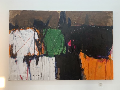 谭平 《无题》200x300cm 布面丙烯 2018
谭平 《无题》200x300cm 布面丙烯 2018