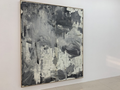 冯良鸿 《散漫的抽象》 240x200cm 布面油画 2017
冯良鸿 《散漫的抽象》 240x200cm 布面油画 2017