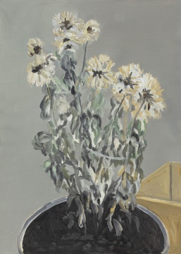 《“东北”系列–菊花》 70×50cm 布面油画 2020
《“东北”系列–菊花》 70×50cm 布面油画 2020