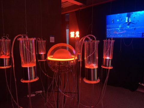 “艺术圈”展览现场
“艺术圈”展览现场