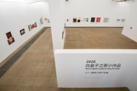 在白盒子艺术馆，领略“小作品”的魅力
