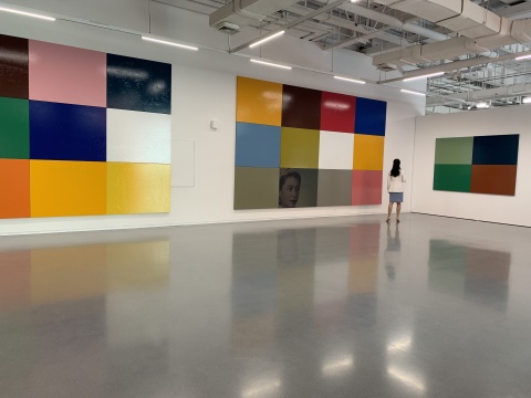 颜磊《有限艺术项目》125幅 105×130cm 布面油画 2012 悦来美术馆展览现场  2020
