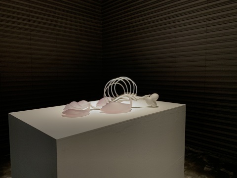 玛格丽特·休谟 《废料 I-4(变异成工业废物的呼吸道)》33 x 57 x 93cm 军舰鸟呼吸道树脂模型,颜料,硅管,一氧化碳 2019
玛格丽特·休谟 《废料 I-4(变异成工业废物的呼吸道)》33 x 57 x 93cm 军舰鸟呼吸道树脂模型,颜料,硅管,一氧化碳 2019