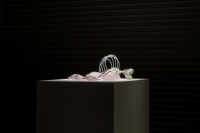 90后馆长的时髦艺术品位，X Museum 馆藏展“瞬息时代的诗歌”开幕