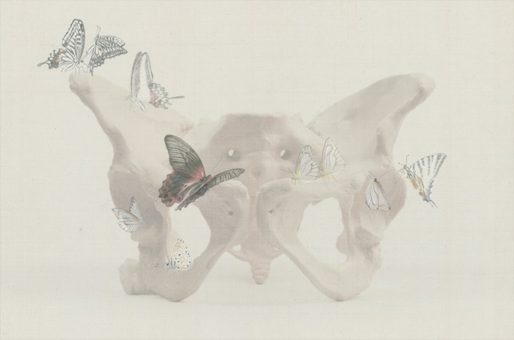 徐华翎 《花园3》 28×42 cm 绢本水色 2019
徐华翎 《花园3》 28×42 cm 绢本水色 2019