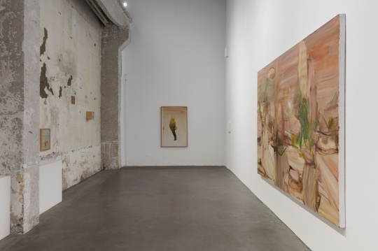 徐赫个展 “我不想认识我”展览现场 三远当代艺术中心
徐赫个展 “我不想认识我”展览现场 三远当代艺术中心