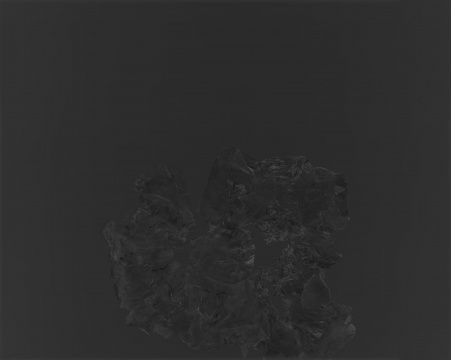 秦一峰,《2019_08_12 12:48 晴》 框110x137.5cm 8x10英寸明胶银盐负片,自然光 曝光12',图片由艺术家提供
秦一峰,《2019_08_12 12:48 晴》 框110x137.5cm 8x10英寸明胶银盐负片,自然光 曝光12',图片由艺术家提供