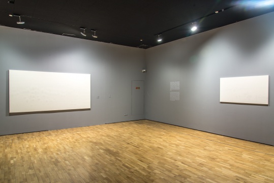 “中国色:走向绝对的东方美学”展厅现场,龙美术馆(西岸馆),2020,摄影:洪晓乐
“中国色:走向绝对的东方美学”展厅现场,龙美术馆(西岸馆),2020,摄影:洪晓乐