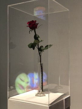 
约瑟夫·博伊斯（德国）《为了爱而生存》

量杯、玫瑰  尺寸可变  1975

