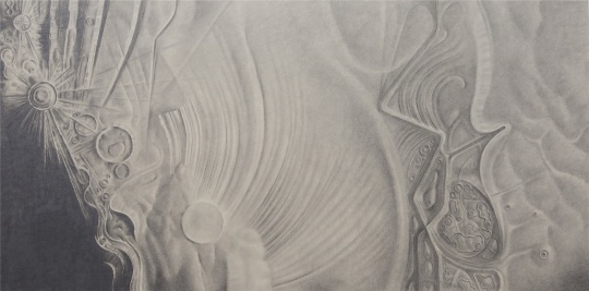 《皮肤系列》 60×120cm 铝板素描 2010
《皮肤系列》 60×120cm 铝板素描 2010