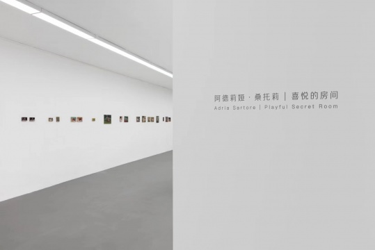 在现在画廊体会阿德莉娅•桑托莉 喜悦房间的“极端”情感 在现在画廊体会阿德莉娅•桑托莉 喜悦房间的“极端”情感