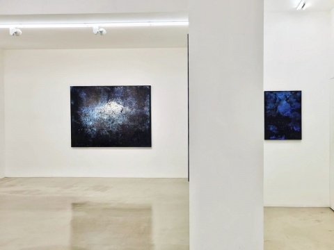 金耕个展亮相TONG Gallery+Projects，以丙烯表现中国风景意境