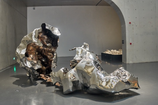 展望 《打开》 不锈钢500×250×160cm 2012 艺术家工作室供图
展望 《打开》 不锈钢500×250×160cm 2012 艺术家工作室供图
