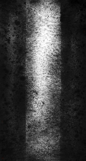 梁蓝波 《音象XI》 173×93.5cm 纸本水墨 2020
梁蓝波 《音象XI》 173×93.5cm 纸本水墨 2020