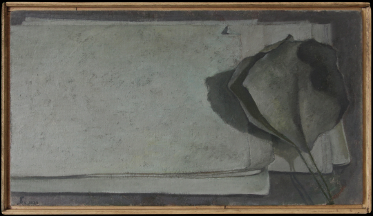《影子和纸》 31.5x56cm 布面油画 2020
