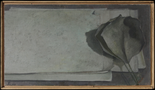 《影子和纸》 31.5x56cm 布面油画 2020
《影子和纸》 31.5x56cm 布面油画 2020