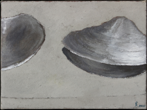 《河蚌》30x40cm 布面油画 2020
《河蚌》30x40cm 布面油画 2020