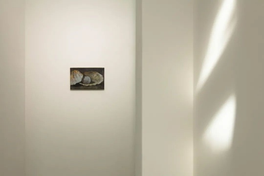 《贝》40x27cm 布面油画 2017
《贝》40x27cm 布面油画 2017