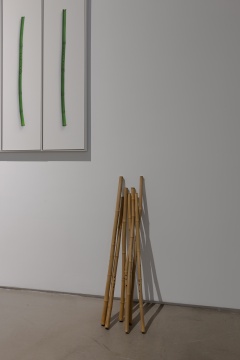 刘耀华 《金声》 30×110cm×7 7支新鲜竹制箫、摄影七条屏 2020 刘耀华 《金声》 30×110cm×7 7支新鲜竹制箫、摄影七条屏 2020