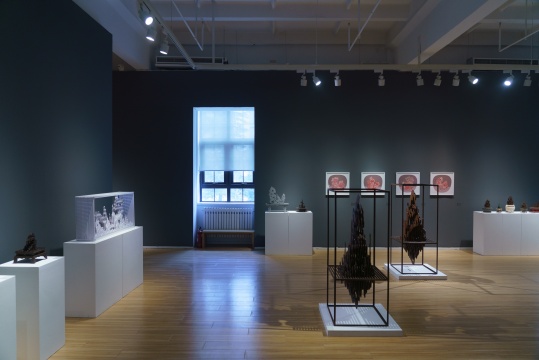 东方文人式的审美景观:杨东鹰个展“平平仄仄”亮相玉兰堂画廊 东方文人式的审美景观:杨东鹰个展“平平仄仄”亮相玉兰堂画廊