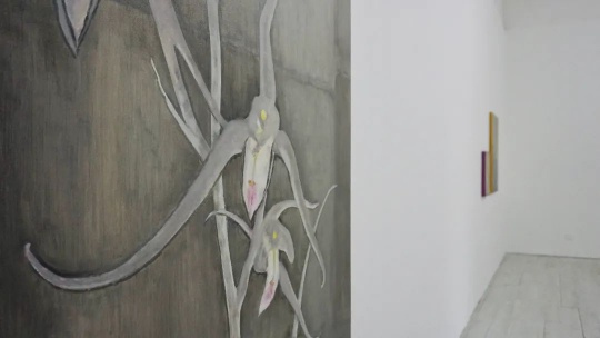 生活没有不乏味的,那就画画乏味好了,作者画廊举办邵译农个展 生活没有不乏味的,那就画画乏味好了,作者画廊举办邵译农个展