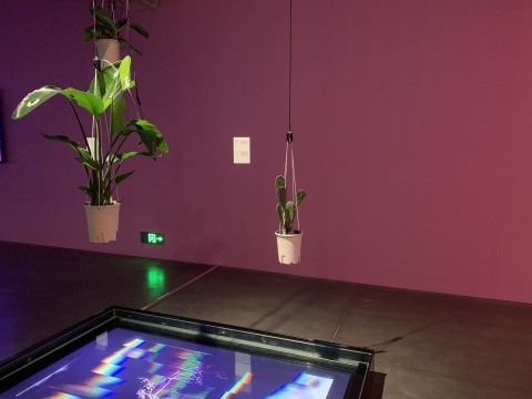 有趣真的很重要!请预留一个半小时给现代汽车文化中心的开年大展 有趣真的很重要!请预留一个半小时给现代汽车文化中心的开年大展