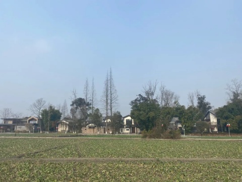 征集丨中国·成都第二届天府大地艺术季(春)公共艺术装置与在地艺术 征集丨中国·成都第二届天府大地艺术季(春)公共艺术装置与在地艺术