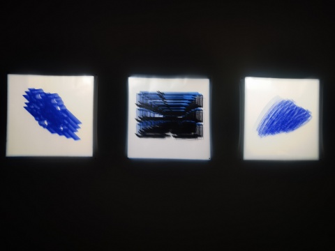 艺术家郭煜参展作品《2021结构线》
艺术家郭煜参展作品《2021结构线》