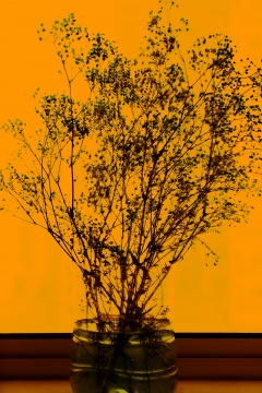 《格物系列-橙色4#》 80×53.4cm 艺术微喷 2020

