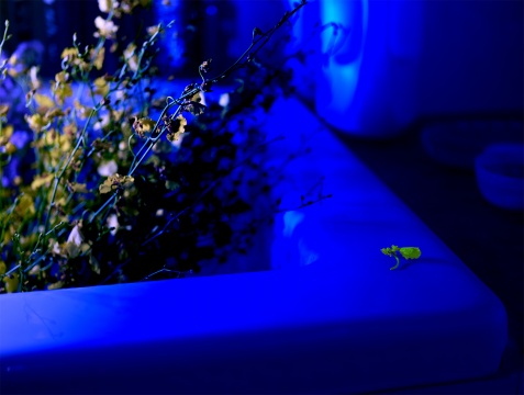 《格物系列-蓝色20# 》 73.4×110cm 艺术微喷 2020
