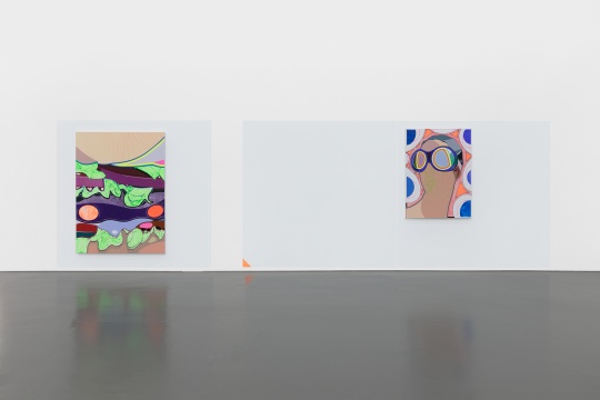 高露迪个展“杂志” ,空白空间展览现场,图片由艺术家和空白空间提供
高露迪个展“杂志” ,空白空间展览现场,图片由艺术家和空白空间提供