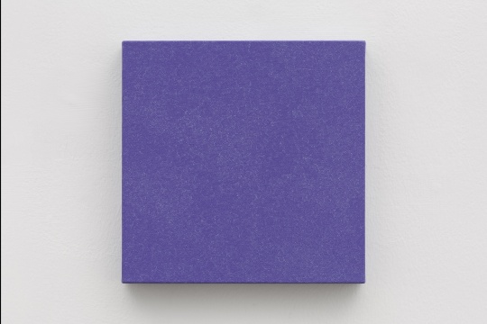 《2020.1.24-2020.2.20》 28x28cm 布面丙烯 2020
《2020.1.24-2020.2.20》 28x28cm 布面丙烯 2020